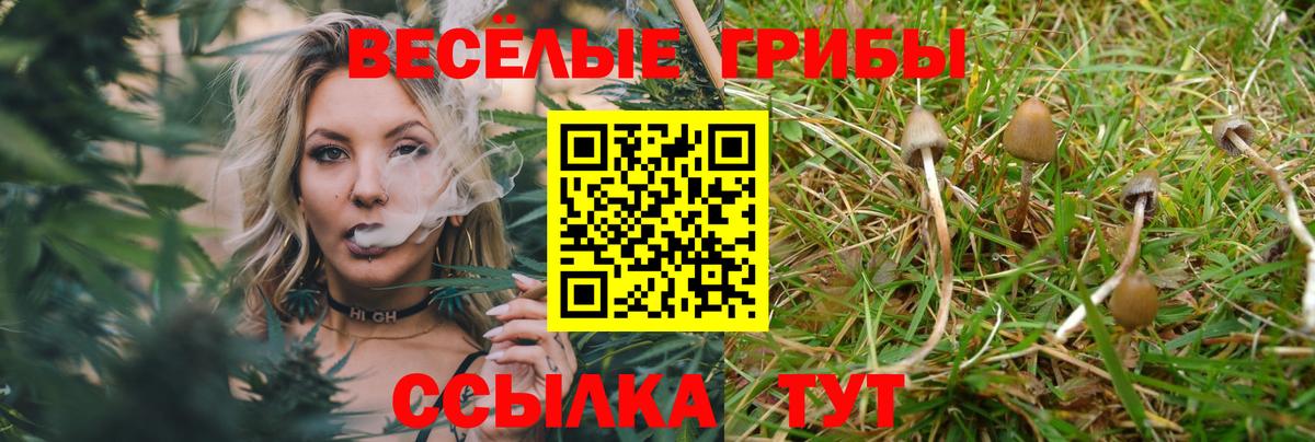 Сафоново  Галлюциногенные грибы Magic Shrooms  Галлюциногенные грибы Magic Shrooms  Вход с VPN 